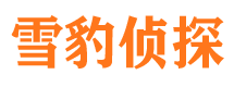 民和市婚姻出轨调查